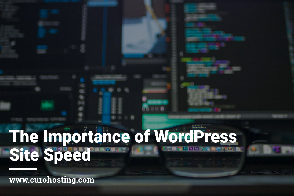 The Importance of WordPress Site Speed