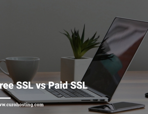 Free SSL vs Paid SSL